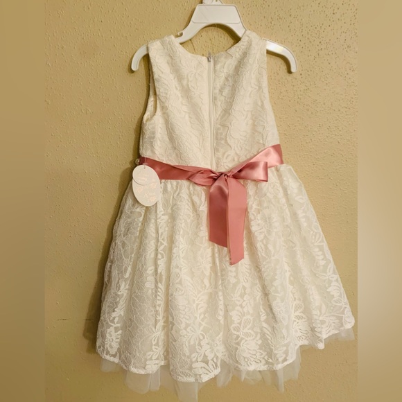 Pretty Lace dress for girl
Girls Dress Size : 4 T - Picture 5 of 7